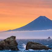 Amanda2020 Amanda2020